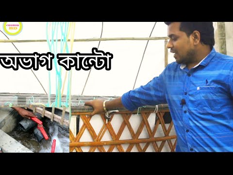 ভিডিও: ফিশনেট প্যানকেকস কীভাবে তৈরি করবেন