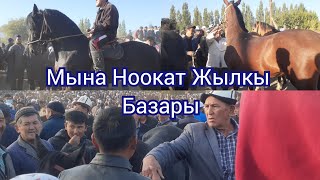 Ноокат Жылкы Базары Укмуш Кызыды Оххоооо 26.09.21