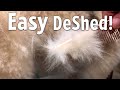 The SECRET to DE-SHEDDING Any DOG at Home