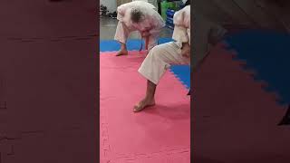OKINAWA GOJU RYU KARATE DO IOGKF ARGENTINA DOJO RYU KYU WALTER HERRERA SENSEI