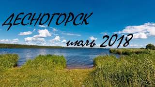 Поводок для ловли троллингом. Мое первое знакомство с Десногорским водохранилищем Поводок для ловли троллингом. Мое первое знакомство с Десногорским водохранилищем