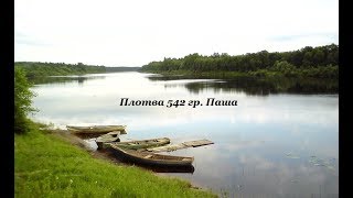 71. Плотва 542 Гр.  Паша