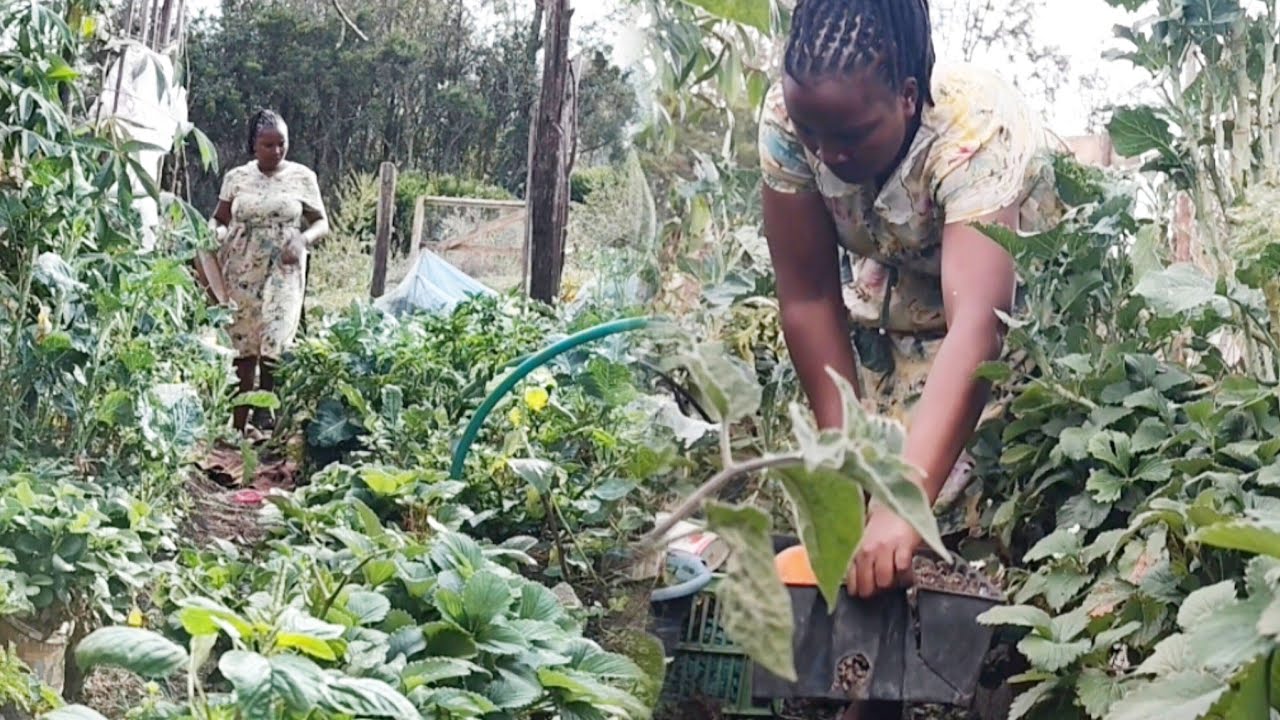 Как я готовлюсь к новому сезону садоводства
