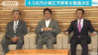 第2次補正予算案を閣議決定　公共事業が大きな割合(16/08/24)