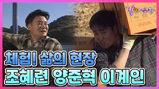 [체험! 삶의 현장] 조혜련 양준혁 이계인 | 205회 KBS 1997.11.10. 방송