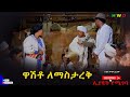 ዎሽቶ ለማስታረቅ ምርጥ አዲስ ድራማ Washito Lemastarek New Ethiopian Dirama 2026 ዎሽቶ ለማስታረቅ ምርጥ አዲስ ድራማ Washito Lemastarek New Ethiopian Dirama 2026