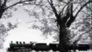Muhlis Akarsu - Kara Tren Yolu Aliyor Direkten (Arguvan)