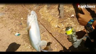 ស្ទូចត្រីឆ្លាំង០១,fishing in cambodia,Amazing fish, fishing in cambodia youtube ,VUTHY AFS