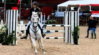 Nora og Grey Hawk lag NM 2011