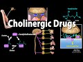 Cholinergic Drugs - Pharmacology, Animation