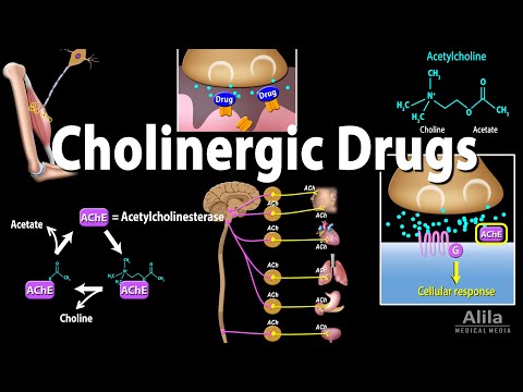 Video: Bagaimana neostigmin menghambat asetilkolinesterase?