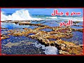 سحر و جمال البحر موسيقى هادئة ل عشاق البحر 