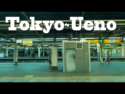 鉄道車窓　東京～上野 /【無料フリー動画素材】/japanese free video
