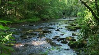 Sonidos de la naturaleza, Agua, Rio, Pájaros, Aves, Sonidos para relajarse. Sonidos para dormir