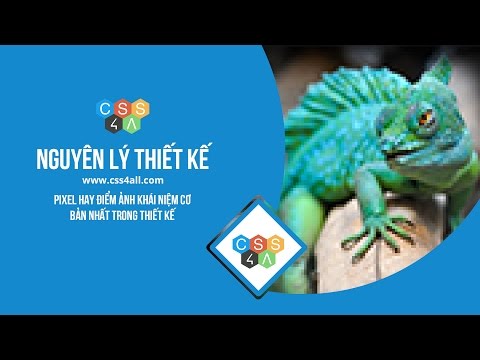 Nguyên lý thiết kế # 2 Pixel hay điểm ảnh khái niệm cơ bản nhất trong thiết kế | Css4all.com