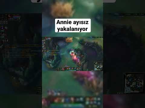 Annie ayısız yakalanıyor