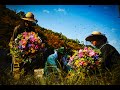 FLOWER AND MAN - Beekeeper -