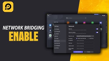 How To Enable Network Bridging In LDPlayer