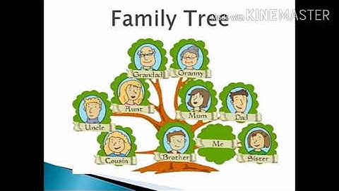 My family (part 3) Class 3 EVS