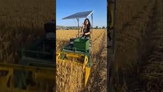 This Solar-Powered Machine Is Replacing 10 Workers! 🤯🌾 #viral