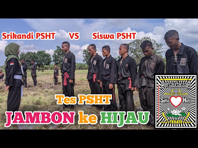 Srikandi PSHT VS Siswa PSHT !! Tes Mental Fisik PSHT | Jambon ke Hijau - Ranting Air Sugihan class=