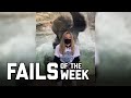 Bear With Me: Fails of the Week (January 2021)