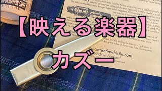 【SNS映えする楽器】カズーを紹介します【演奏のコツ/8つのメリット】#カズー　#kazoo