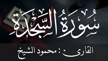قراءة خاشعة - سورة السجدة - القارئ الشيخ محمود الشيخ