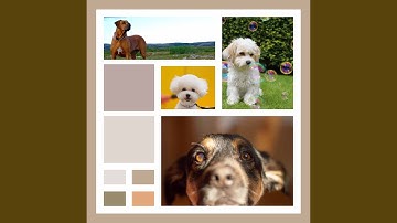 Remarkable Waltz - Vibe for Relaxing Puppy Days