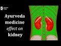 Does ayurveda medicine harm kidneys  dr jayaprakash narayan
