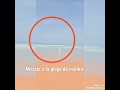 MIRACLE À LA PLAGE DE MALIKA UN PHÉNOMENE RARE C EST PRODUIT