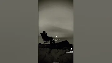 لكل طير مرساه 