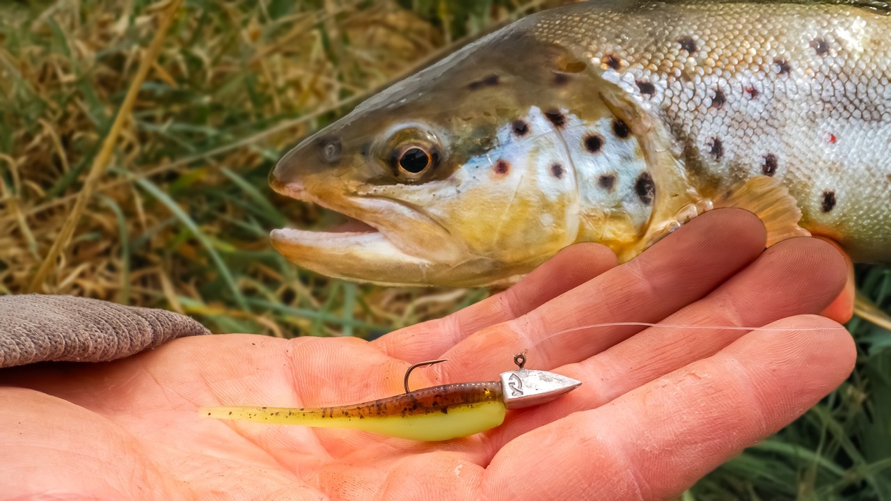 Ein Kder fr jede Forelle - Forellenangeln mit dem Dart-Jig