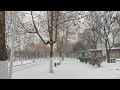 last snow fall of this winter season