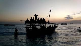 Zanzibar - Sunset Cruise [2019]