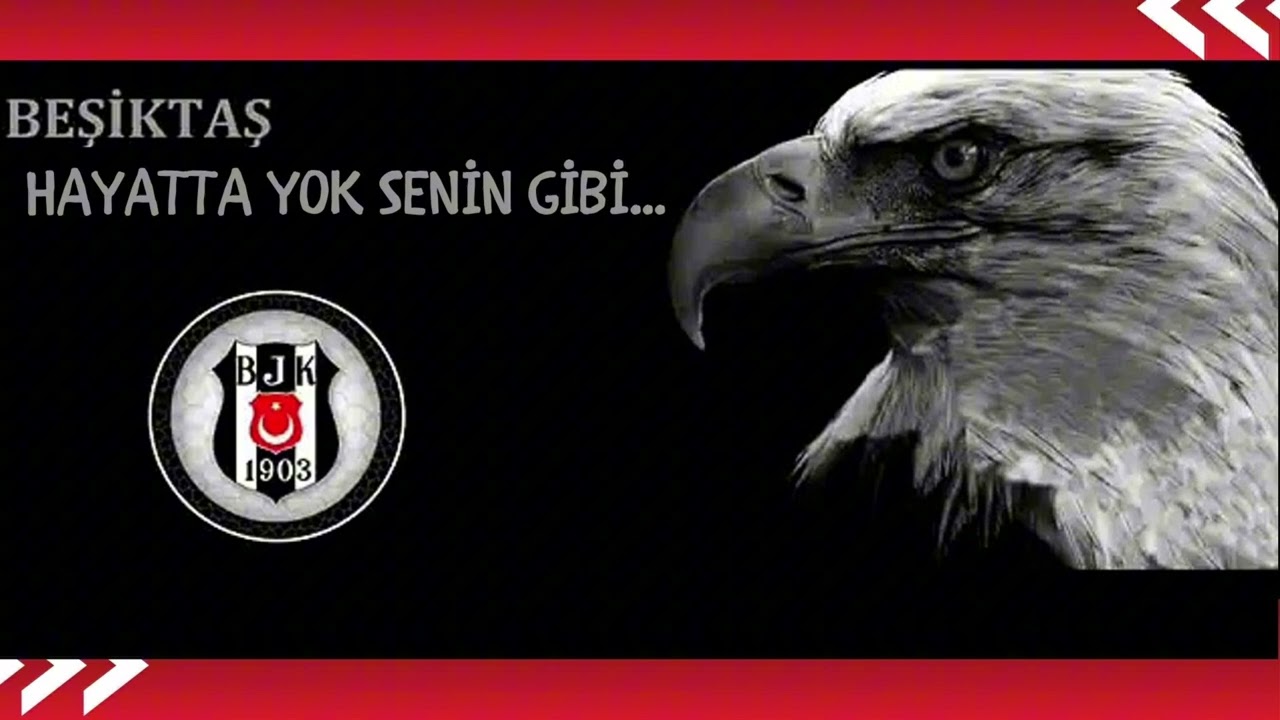 Beşiktaş – Hayatta Yok Senin Gibi (Heyecan) | Tribün Marşı 2025 ⚫⚪