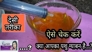 कैसे चेक करें पशु ग्याभन है या नहीं | How to check if Animal is Pragnate or not.