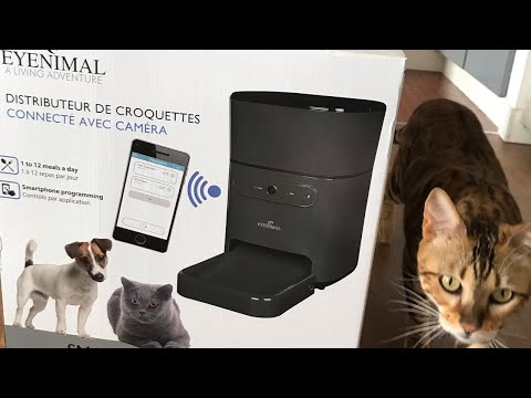 Petsafe Distributeur de croquettes connecté Smart Feed au meilleur