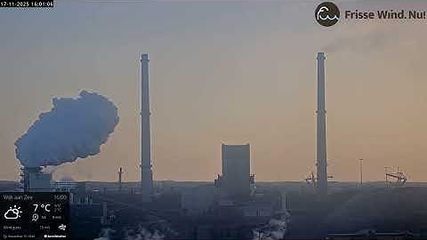 [2025-11-17] Gifwolk gedetecteerd bij Kooks 2