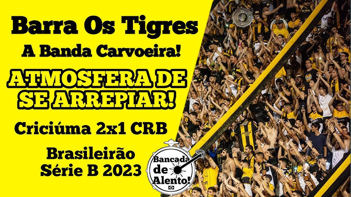 Criciúma 3 x 0 Botafogo/SP: nos últimos minutos, Tigre marca mais dois gols  e torcida vai à loucura - Esporte - 4oito