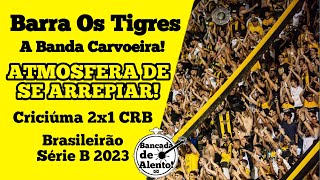 ARREPIA: ATMOSFERA DA BANDA CARVOEIRA - Os Tigres (Criciúma) - Bancada de Alento! #1