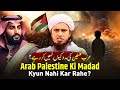 Arab palestine ki madad kyun nahi kar rahe  mufti tariq masood