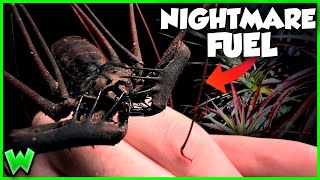 GIANT WHIPSCORPION! Bizarre Jungle Creatures in the Cloud Forest w/ @TheWildlifeBrothers
