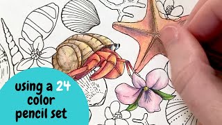 How to Use a Small (24) Pack of Color Pencils ⎢Adult Coloring Tutorial⎢Prismacolor Premiere