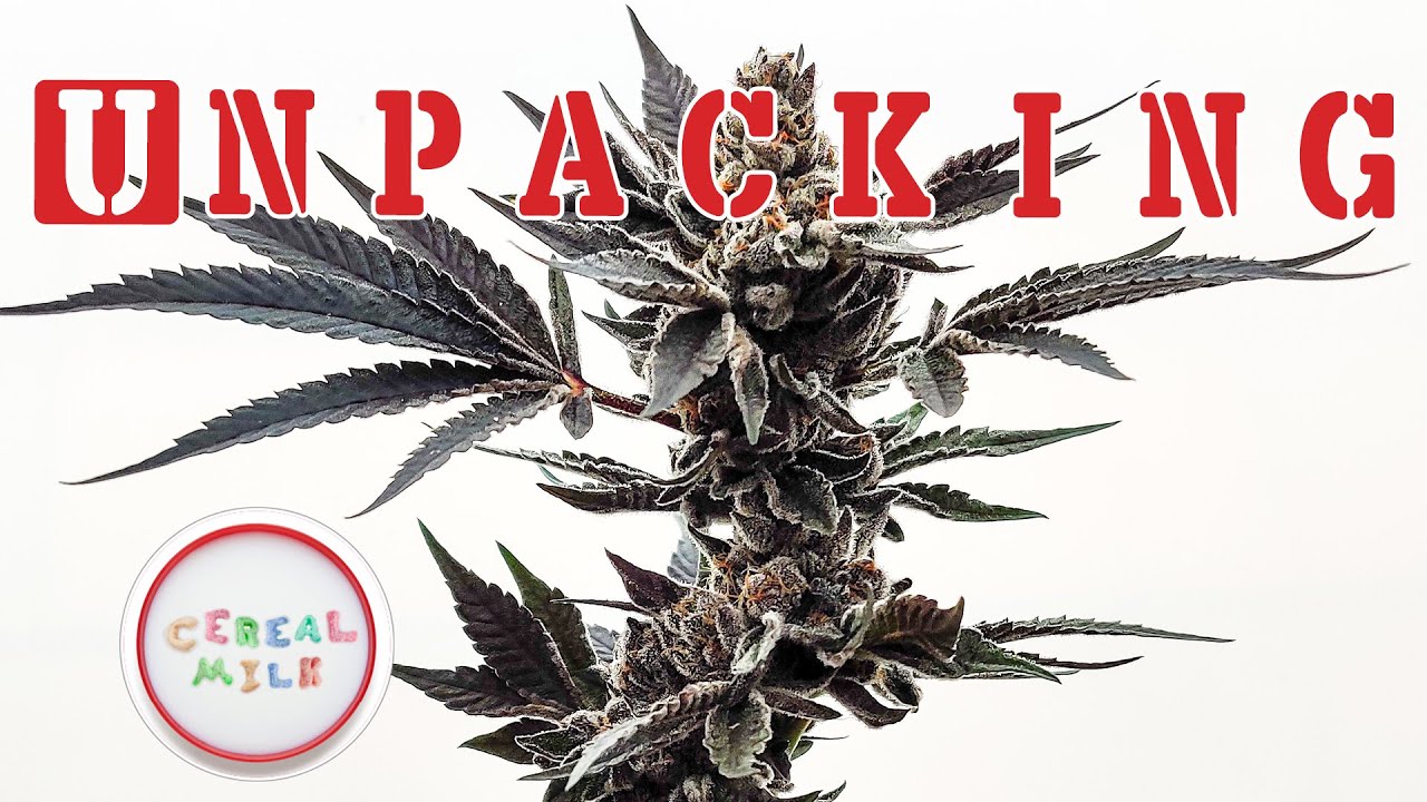 Unpacking | Cereal Milk