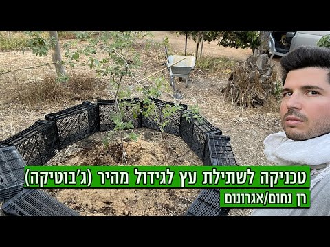 וִידֵאוֹ: האם עצים יכולים לגדול הצידה?