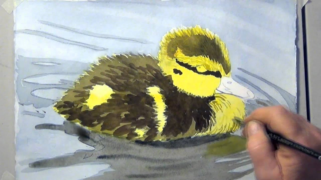 How To Paint A Duckling In Watercolor YouTube How To Paint A Duckling In Watercolor YouTube