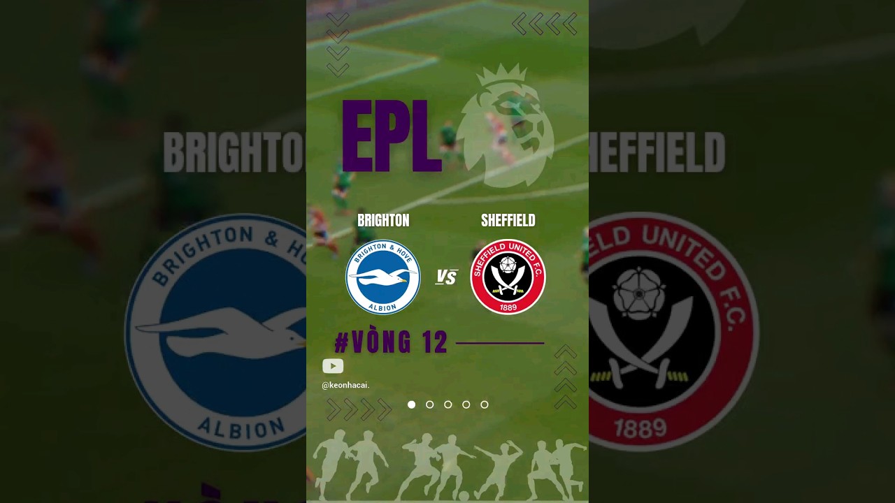 nikon d850 card slots Soi Kèo Brighton vs Sheffield - THỂ THAO 24H soikeo soikeobongda thethao24h