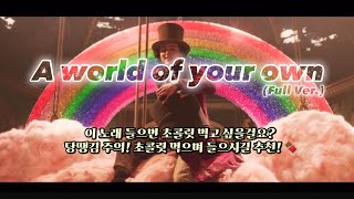 [웡카ost]A world of your own 대사포함 자막있음! 당땡기는노래! 이노래 들으면 초콜릿 먹고 싶어짐!/#웡카#티모시#웡카ost