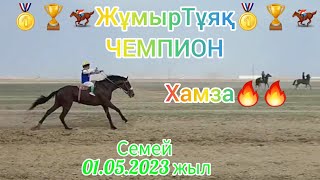 Аламан байге КОНЦОВКА. 🏇ХАМЗА🥇🏆🏇ЖұмырТұяқ ЧЕМПИОН🥇🏆🏇 Семей Степной Атшабары